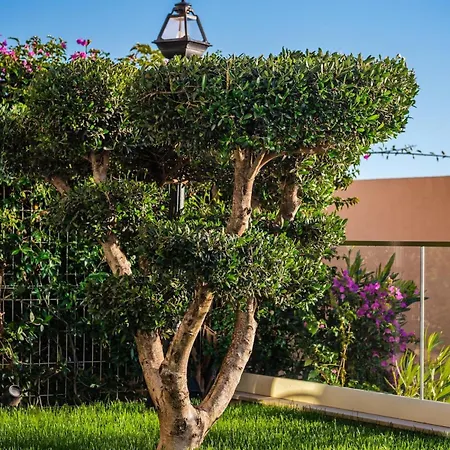 Golden Glow Coast * Dhërmi