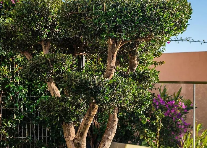 Golden Glow Coast * Dhërmi